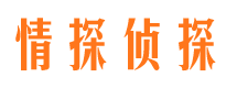 东乡族市私家侦探